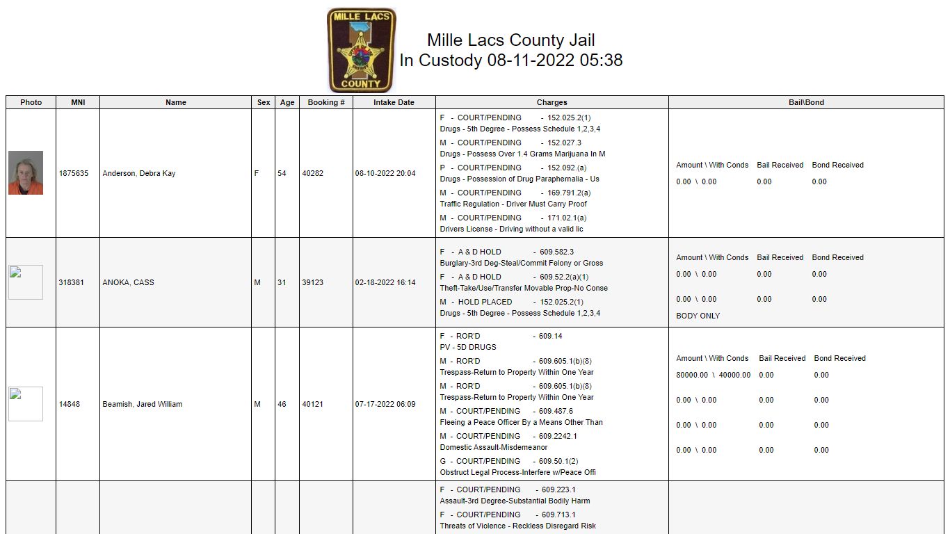 Custody - ftp.co.mille-lacs.mn.us